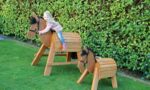Pony Pali - Afbeelding 3