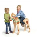 Indoor Shetlander