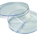 Petri schaaltjes met 3 vakken, diameter 9 cm, hoogte 1,5 cm, 3 stuks