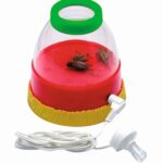 Luisterpotje Insecten (incl. koptelefoontje)