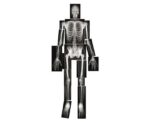 Kleuter Lichaam Set - Afbeelding 3