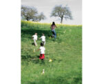 Bewegend Leren Rekenen Set - Afbeelding 3