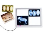 Lichttafel A3 - Afbeelding 3