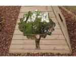 Boom Wandspiegels Buiten 3/St. - Afbeelding 4