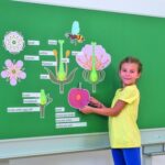 Magnetische kaarten: kersenbloesem