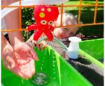 Mobiele Zand- Watertafel - Afbeelding 12