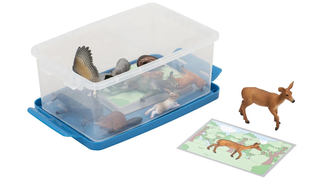764298_f-ZD.webp Bos Dieren Spel - Afbeelding 1