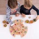 Houten Seizoenen Cyclus, beuken