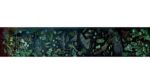 Puzzel Glow in the Dark" Ocean Life - Afbeelding 4