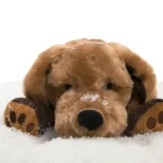 Therapie Knuffel Hond met kalmerend gewicht