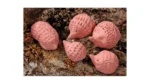 Luchtdrogende boetseerklei, 1000 gr, terracotta - Afbeelding 2