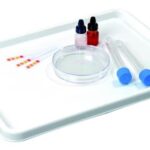 Plastic dienblad voor experimenten 34 x 24 x 1