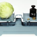 School Weegschaal Metaal XL
