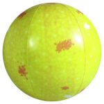 Opblaasbaar Planetarium - Afbeelding 7