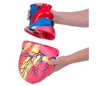Het Hart XL - Afbeelding 2