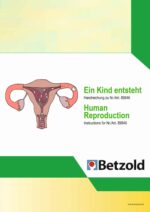 Een Baby Ontstaat - Afbeelding 4