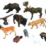 Noord Amerikaanse Dieren Set (12 St.)