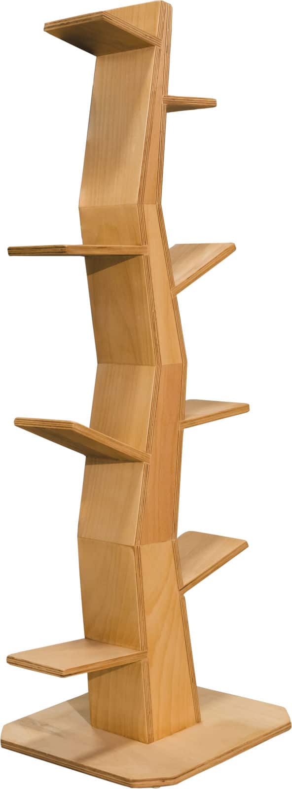 Boekenboom.jpg Boekenboom 120cm - Afbeelding 1