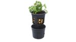 Aardappel plantpot