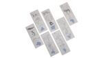 Leskist Continenten incl. Globe - Afbeelding 5