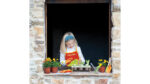 Botanisch planten laboratorium - Afbeelding 2