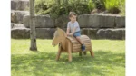 Houten Paard Juvi & Pony Pali