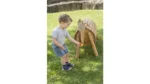 Houten Paard Juvi & Pony Pali - Afbeelding 3