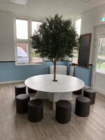 Olijfboom 210cm - Afbeelding 3