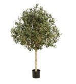 Olijfboom 210cm - Afbeelding 4
