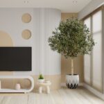 Olijfboom 210cm - Afbeelding 2