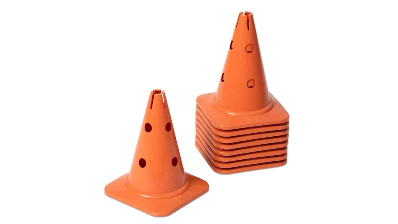 Pionen-koraal01.jpg Pionnen - 30cm koraal - Afbeelding 1