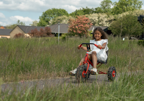 ROSE-outdoor-small-028__FocusFillWzUwMCwzNTAsIngiLDEyXQ.jpg Kleine driewieler met stuur en pedalen | 3-5 jaar - Afbeelding 1
