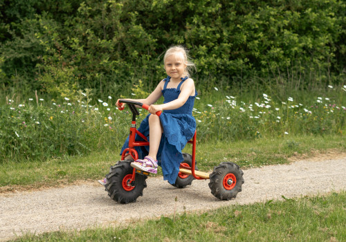 ROSE-outdoor-small-076__FocusFillWzUwMCwzNTAsIngiLDEyXQ.jpg Driewieler met tractorbanden middelgroot | 4-10jaar - Afbeelding 1