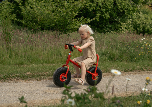 ROSE-outdoor-small-141__FocusFillWzUwMCwzNTAsIngiLDEyXQ.jpg Loopfiets met ballonwielen - middelgroot - Afbeelding 1