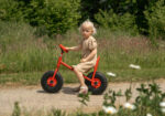 Loopfiets met ballonwielen - groot