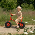 Loopfiets met ballonwielen - groot