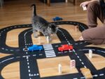 Auto's & Verkeersborden 14-dlg - Afbeelding 15