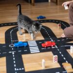 Flex Autobaan Highway + Car 25-dlg