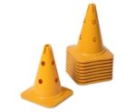 Pionnen - 30cm geel