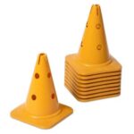 Pionnen - 30cm geel