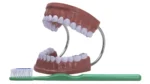 Tandenpoets Model XXL - Afbeelding 5